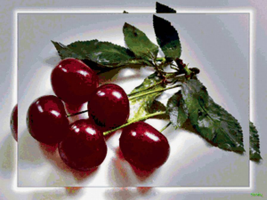 вишня - ягоды, вишня - предпросмотр