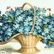 букет цветов