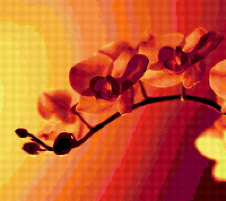 ветка орхидеи - орхидея, цветы - предпросмотр