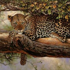 Схема вышивки «дикие животные»