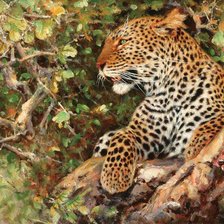 Схема вышивки «дикие животные»