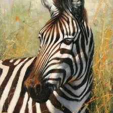 дикие животные