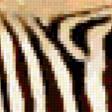 Предпросмотр схемы вышивки «зебра» (№349934)