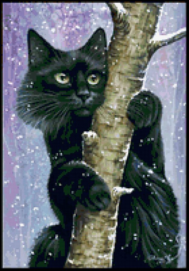 котик - кот, животные - предпросмотр