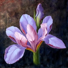 Схема вышивки «цветы»