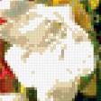 Предпросмотр схемы вышивки «Натюрморт» (№350017)