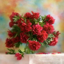 Схема вышивки «натюрморт»