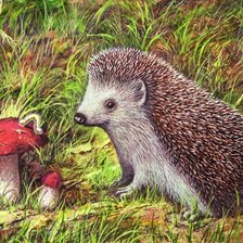 Схема вышивки «Ежик»