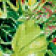 Предпросмотр схемы вышивки «Лягуха - тропикана» (№350072)