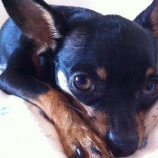 Схема вышивки «jes2»