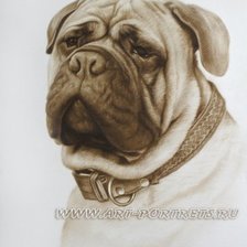 Схема вышивки «№350291»