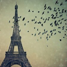 Схема вышивки «париж»