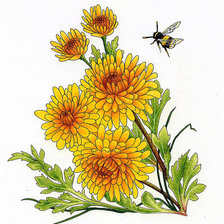 Схема вышивки «№350428»