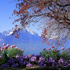 на Женевском берегу