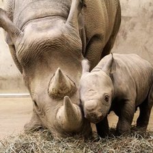 Схема вышивки «№350445»