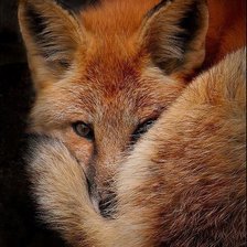 Схема вышивки «№350447»