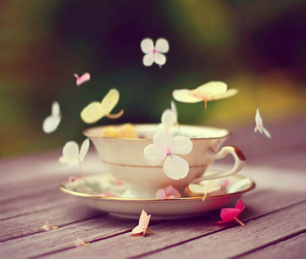 ЦВЕТЫ - цветы - оригинал