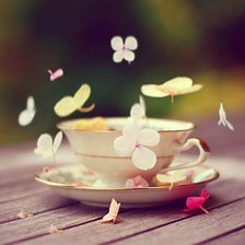 Схема вышивки «ЦВЕТЫ»