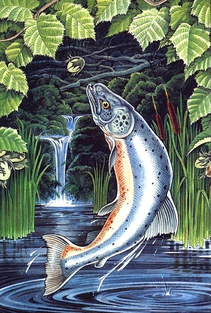 №350510 - оригинал