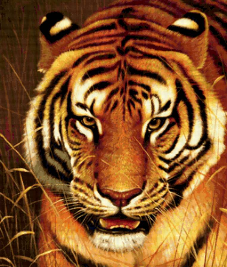 дикие животные - предпросмотр