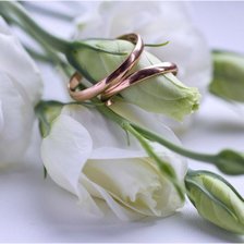 Схема вышивки «Новая жизнь»