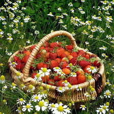 Схема вышивки «пейзаж»