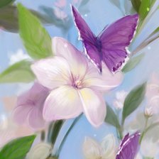 Схема вышивки «бабочки»