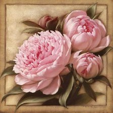 Схема вышивки «пионы»