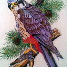 Схема вышивки «сокол»