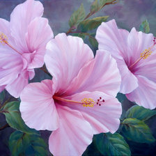 Схема вышивки «гибискус-35»