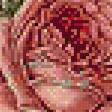 Предпросмотр схемы вышивки «розы-120» (№350782)