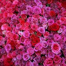 Схема вышивки «№350822»