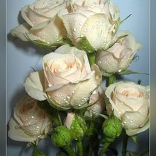 Схема вышивки «№350829»