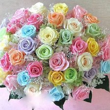 Схема вышивки «№350848»