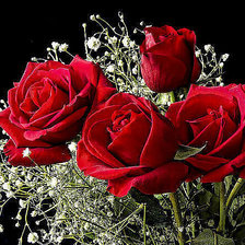 Схема вышивки «№350854»