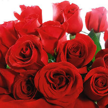 Схема вышивки «№350857»