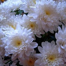 Схема вышивки «№350884»