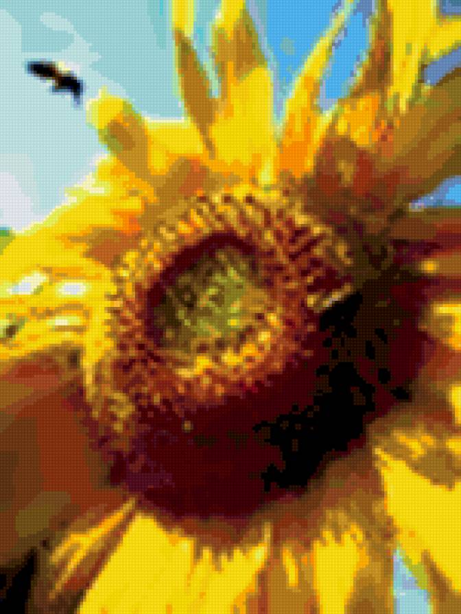 подсолнух - вышивка, подсолнухи, растения - предпросмотр