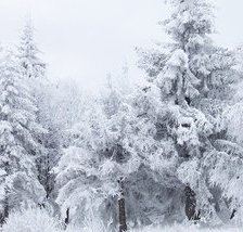 Схема вышивки «зима»