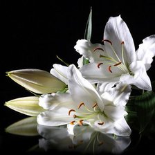 Схема вышивки «цветы»