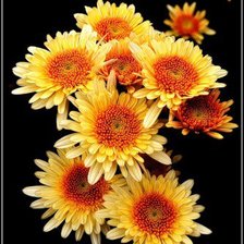 Схема вышивки «№351473»