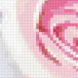 Предпросмотр схемы вышивки «роза» (№351482)