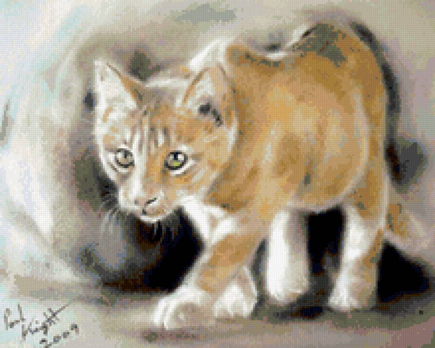 Котейка - котик, рыжий - предпросмотр