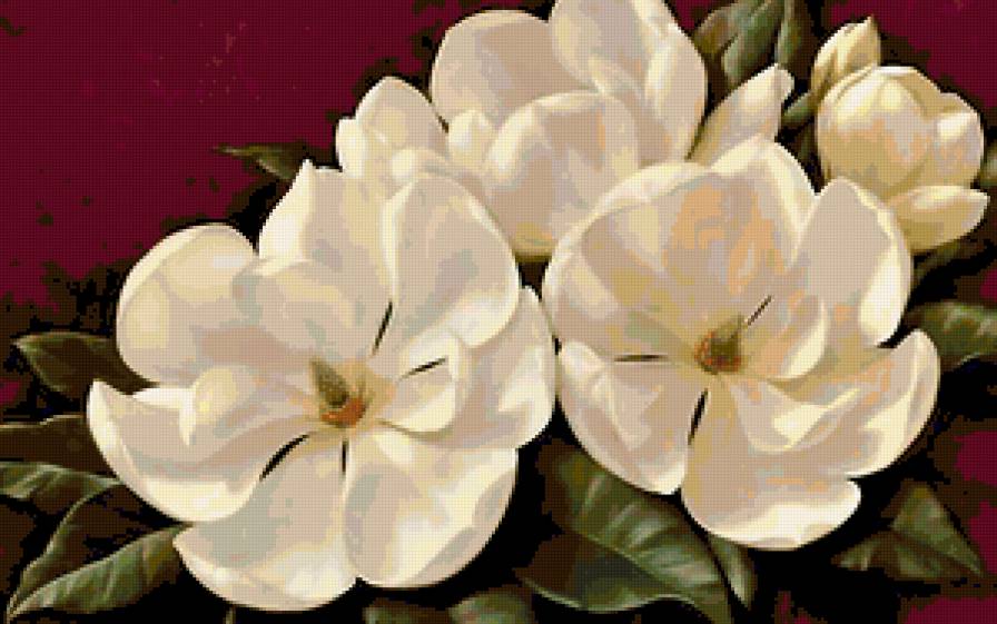 магнолия - предпросмотр