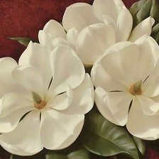 Схема вышивки «магнолия»