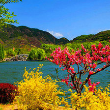 Схема вышивки «лето»