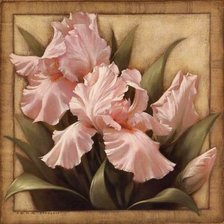 Схема вышивки «цветы для подушки»