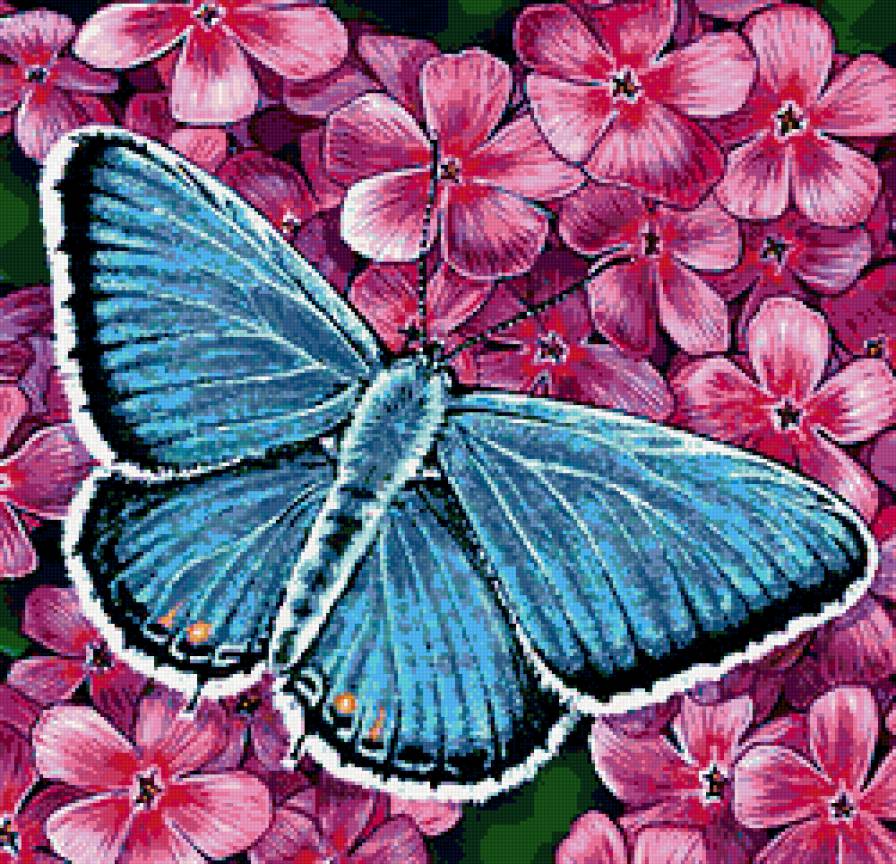 Бабочка - бабочка, цветы - предпросмотр