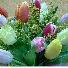 Схема вышивки «№351986»