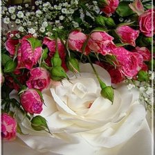 Схема вышивки «№351997»